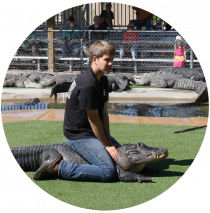 reptilegardens.png